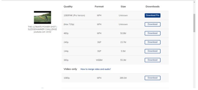 online video download tool