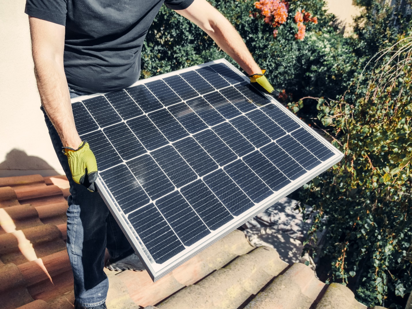 A person holding a solar panel

Description automatically generated with medium confidence